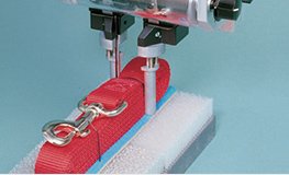 GECKO Krzysztof Lewosz